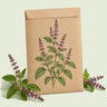 Kraft seed packet illustrated with Tulsi Holy Basil Herb, with fresh Tulsi Holy Basil Herb beside it