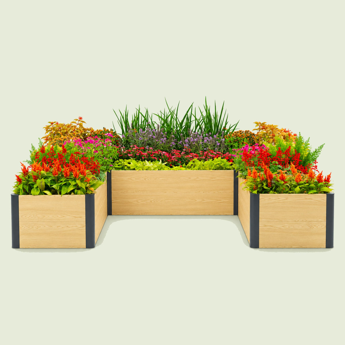 U-Shaped Woodgrain Raised Bed, 96 x 96 x 16 Inches on a soft green background