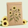 Kraft seed packet illustrated with Vanilla Ice Pale Yellow Sunflower, with fresh Vanilla Ice Pale Yellow Sunflower beside it