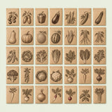 Vegetable Seed Kit, 35 Varieties: all 35 seed packets laid out