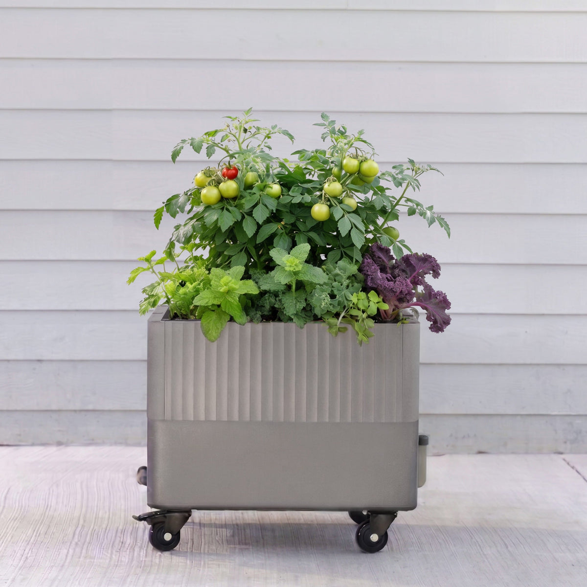 Product photo of self-watering rolling planter, 21 x 24 inches