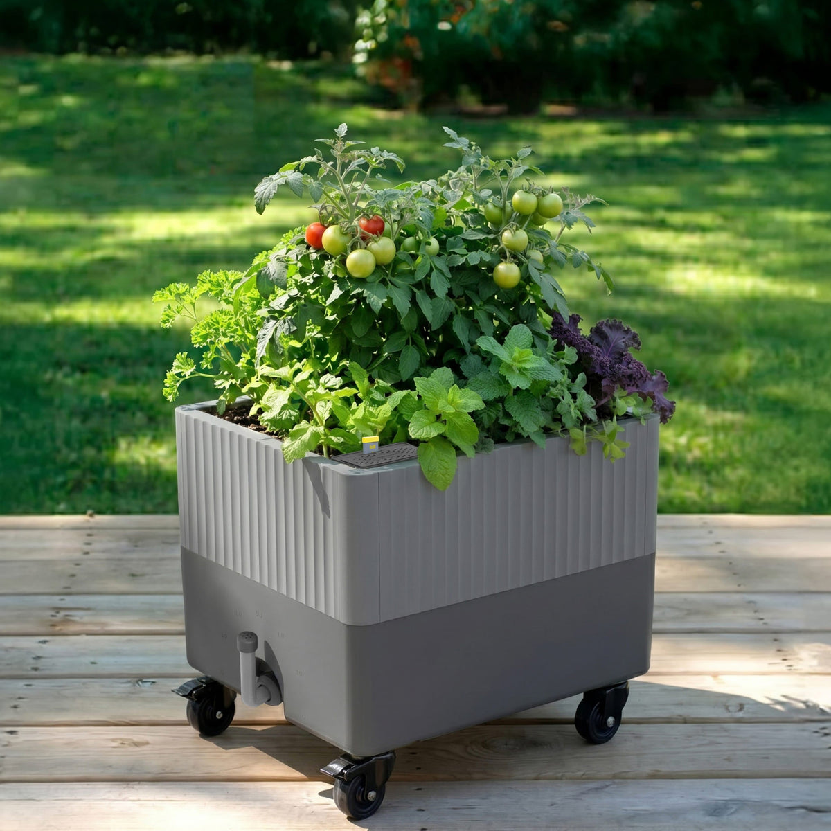Product photo of self-watering rolling planter, 21 x 24 inches