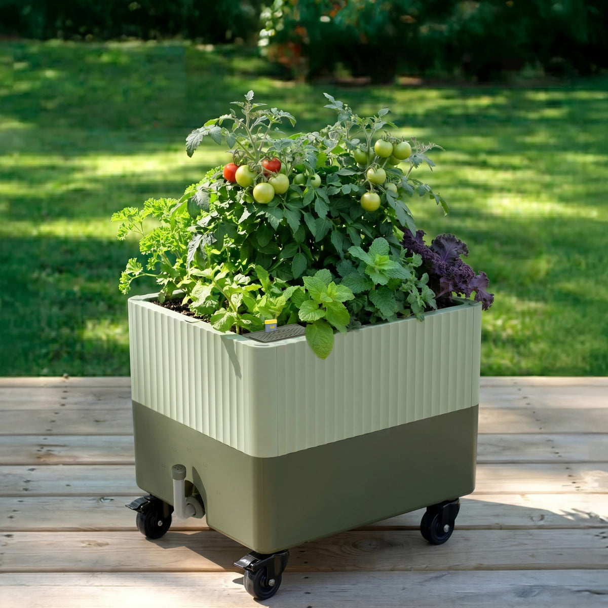Product photo of self-watering rolling planter, 21 x 24 inches