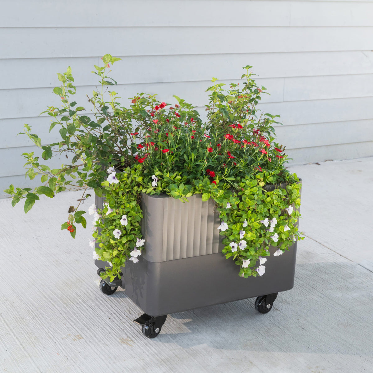 Product photo of self-watering rolling planter, 21 x 24 inches