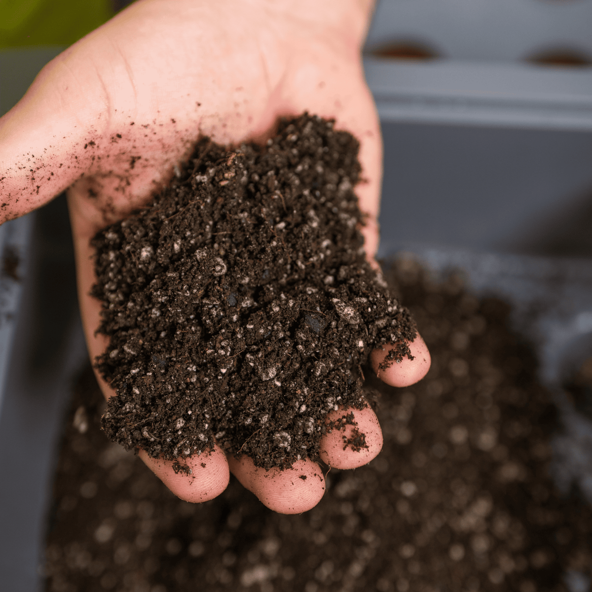 Product photo of indoor potting mix, 16 quarts