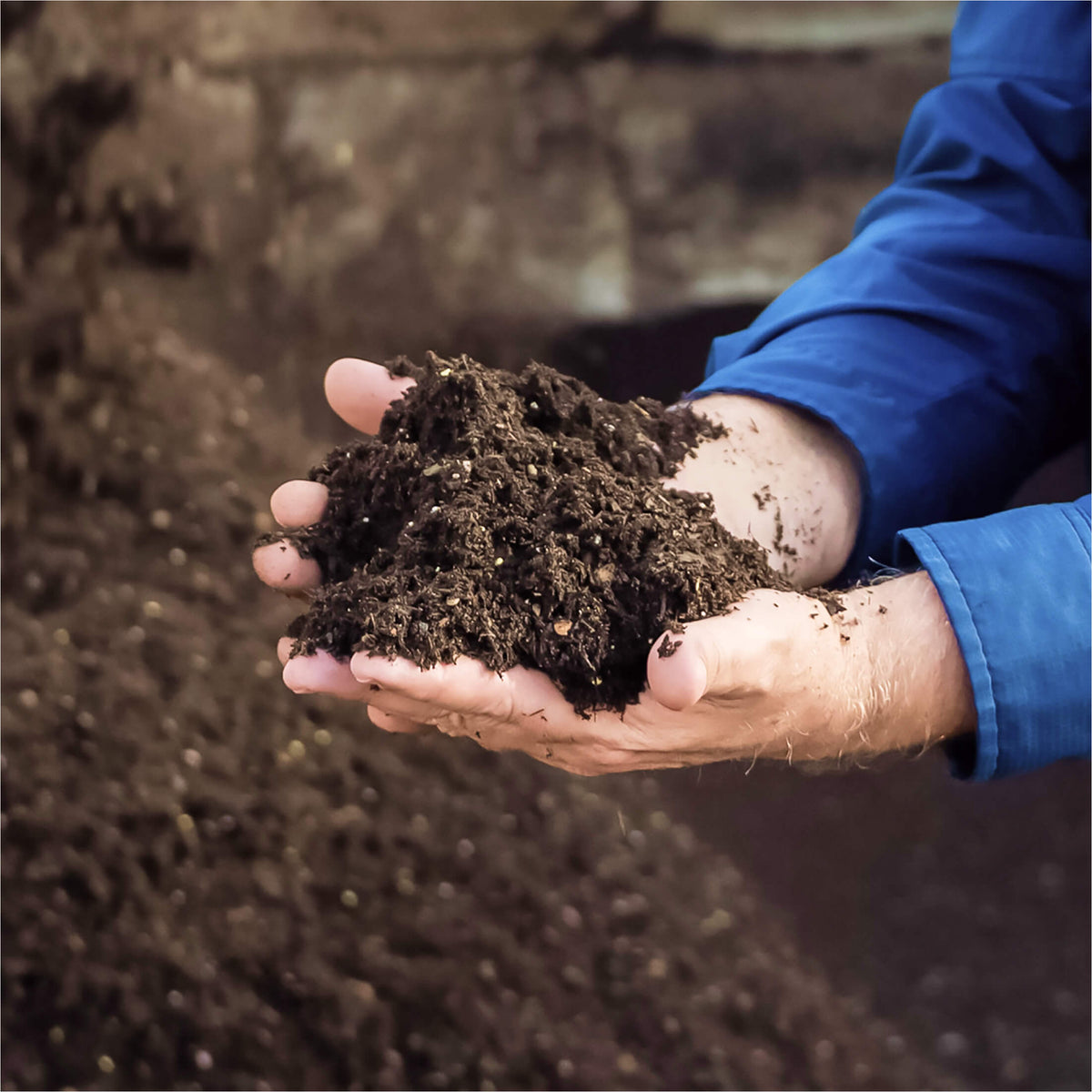 Product photo of container potting mix