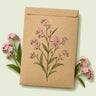Kraft seed packet illustrated with Victoria Pink Forget Me Not, with fresh Victoria Pink Forget Me Not beside it