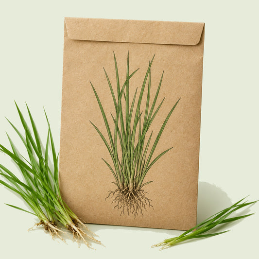 Kraft seed packet illustrated with Water Grass, with fresh Water Grass beside it