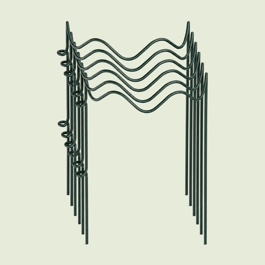 Wavy Border Plant Supports, 6 Pack on a soft green background