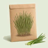 Kraft seed packet illustrated with Wheatgrass, with fresh Wheatgrass beside it