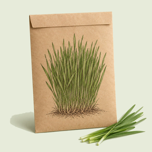 Kraft seed packet illustrated with Wheatgrass, with fresh Wheatgrass beside it