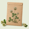 Kraft seed packet illustrated with White Clover Lawn Seed Shaker, with fresh White Clover Lawn Seed Shaker beside it
