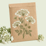 Kraft seed packet illustrated with White Finch Orlaya, with fresh White Finch Orlaya beside it