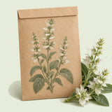 Kraft seed packet illustrated with White Swan Clary Sage, with fresh White Swan Clary Sage beside it
