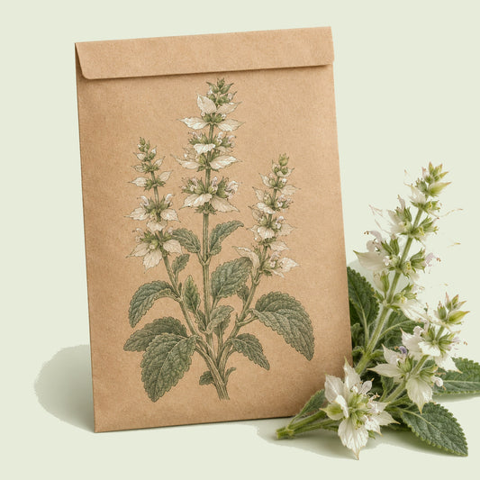 Kraft seed packet illustrated with White Swan Clary Sage, with fresh White Swan Clary Sage beside it