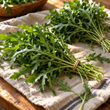 Wild Rocket Arugula Seeds harvest up close
