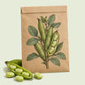 Kraft seed packet illustrated with Windsor Shelling Fava Bean, with fresh Windsor Shelling Fava Bean beside it