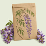 Kraft seed packet illustrated with Wisteria, with fresh Wisteria beside it