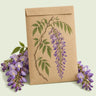 Kraft seed packet illustrated with Wisteria, with fresh Wisteria beside it