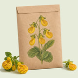 Kraft seed packet illustrated with Yellow Spotted Lady's Purse, with fresh Yellow Spotted Lady's Purse beside it