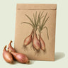 Kraft seed packet illustrated with Zebrune Mild Shallot, with fresh Zebrune Mild Shallot beside it